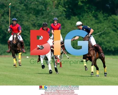 Prince William Playing Polo