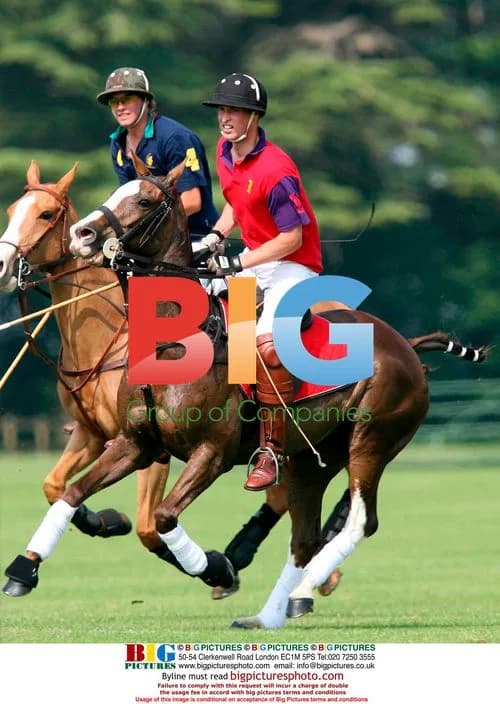 Prince William plays polo in UK