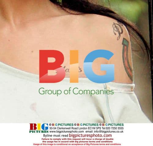 Amy Winehouse Seen at Home