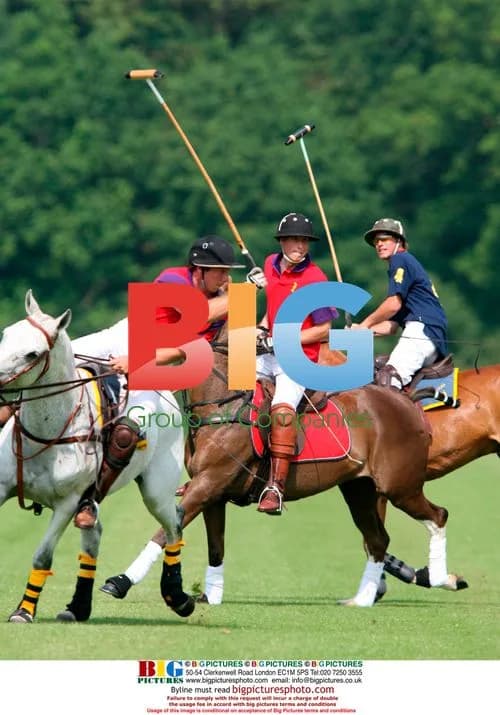 Prince William plays polo in Cirencester