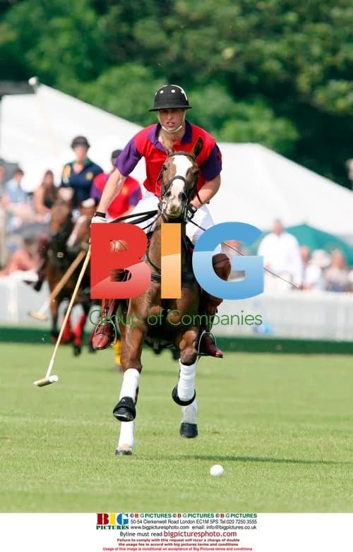Prince William Plays Polo