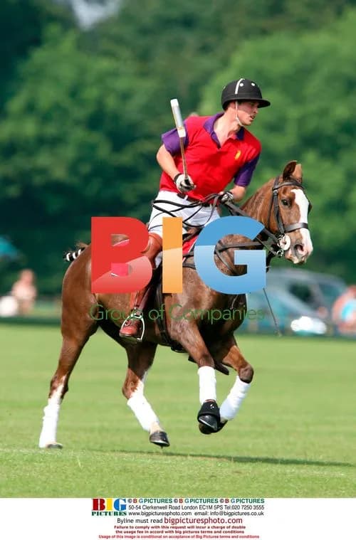 Prince William plays polo in Gloucestershire