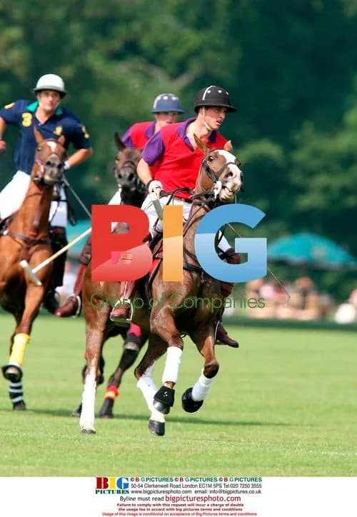 Prince William plays polo