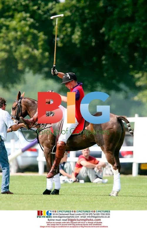Prince William plays polo
