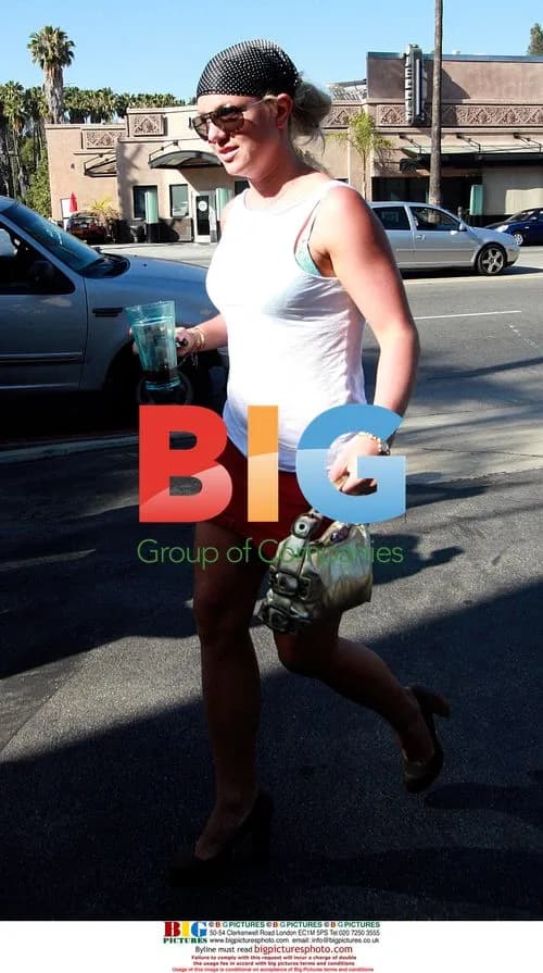 Britney Spears shops for antiques in Studio City