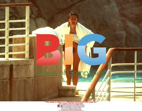 Elizabeth Hurley and Hugh Grant at Cannes