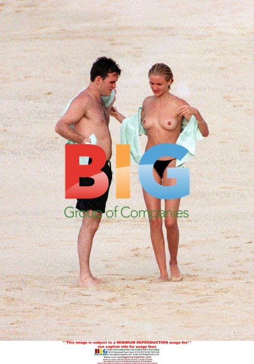 Cameron Diaz & Matt Dillon's Romantic Holiday