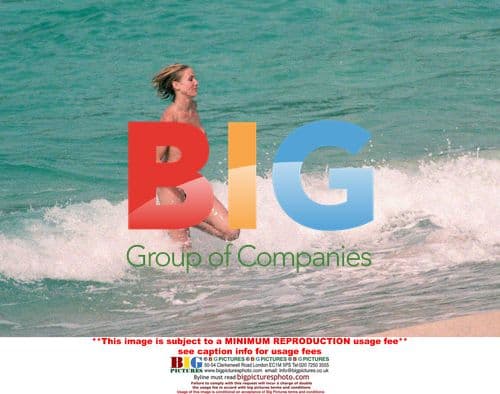 Cameron Diaz & Matt Dillon's Romantic Holiday