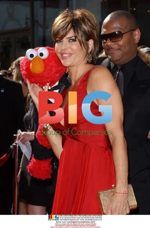 Lisa Rinna at the 34th Daytime Emmys