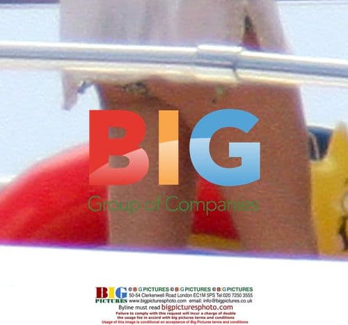 Rod Stewart and Penny Lancaster's Wedding