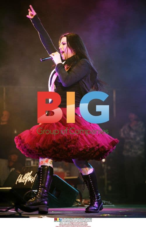 Evanescence Live at Hultsfred Festival