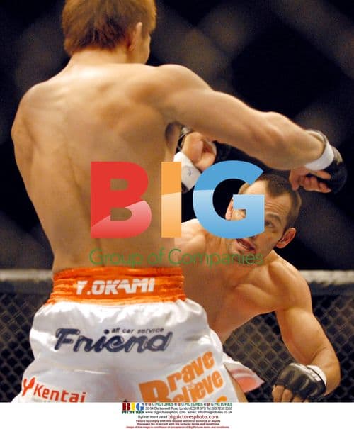 UFC 72 Victory in Belfast