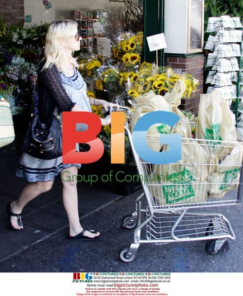 Pregnant Naomi Watts Grocery Shopping