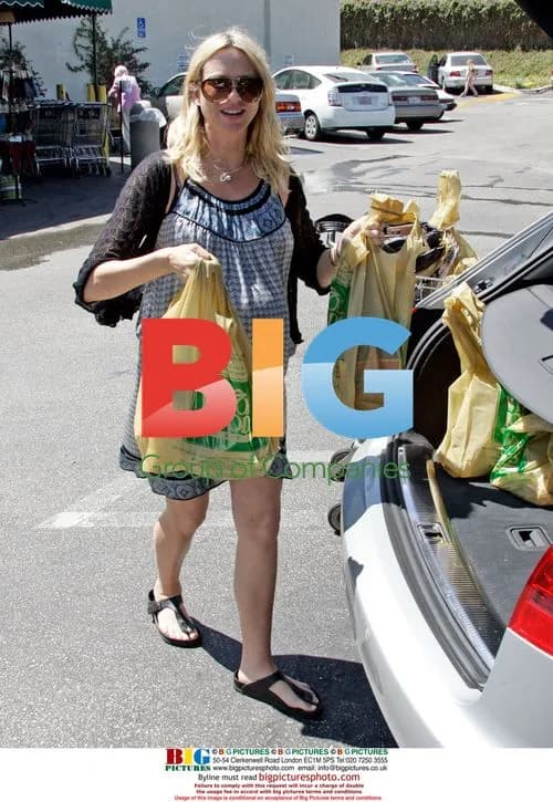 Pregnant Naomi Watts Grocery Shopping