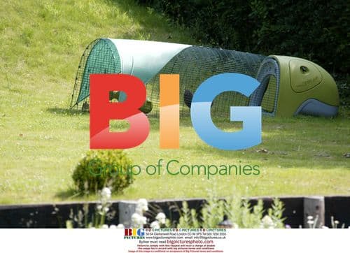 Billie Piper and Laurence Fox Enjoy Country Life