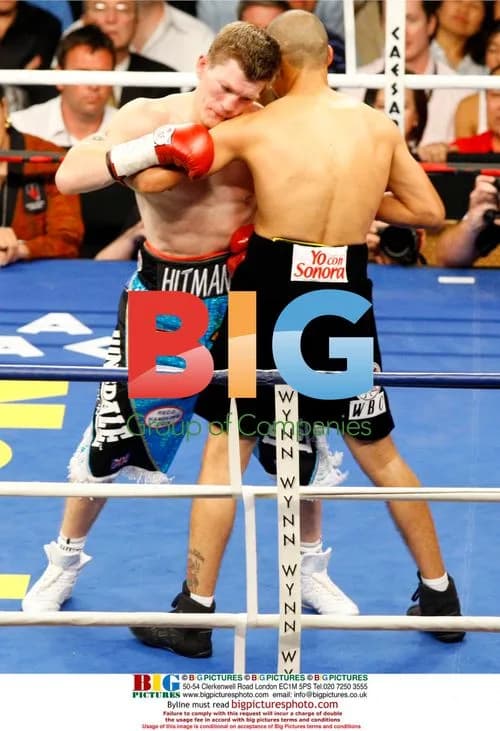 Celebrities watching Hatton vs Castillo boxing match
