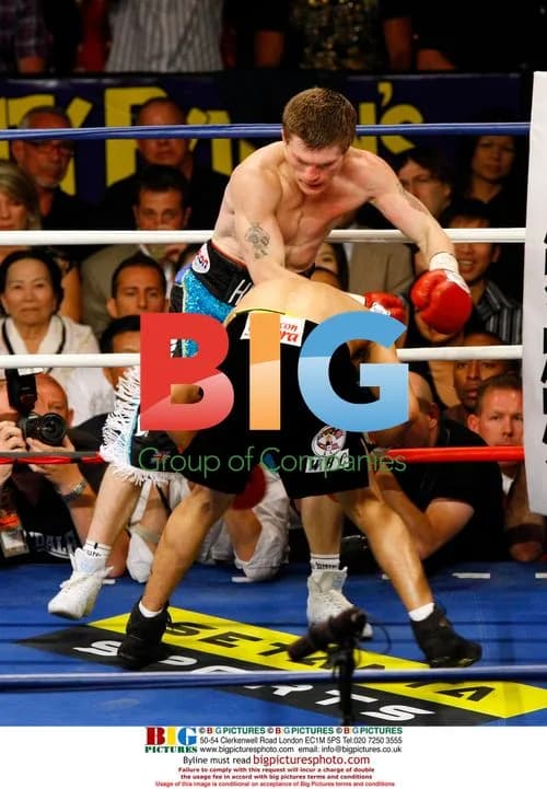 Celebrities and supporters at boxing match