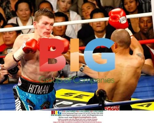 Celebrities at boxing match in Las Vegas
