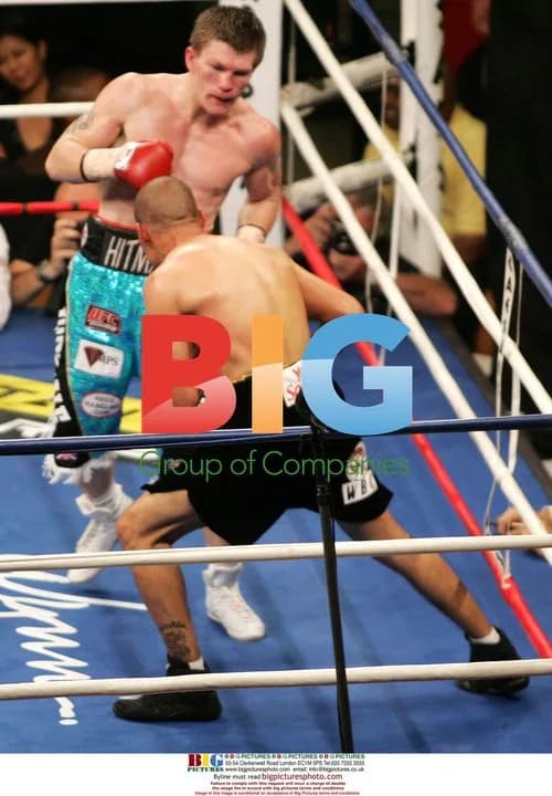 Ricky Hatton KOs Jose Luis Castillo