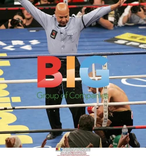 Ricky Hatton defeats Jose Luis Castillo