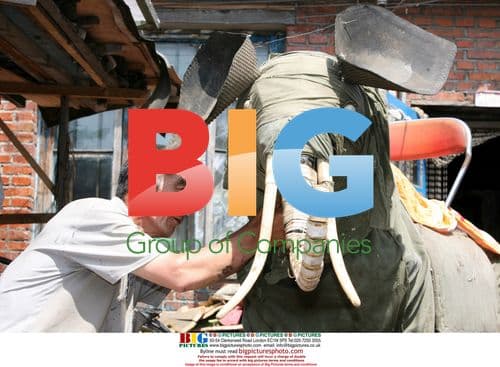 Man Fixes Mechanical Elephant from Waste