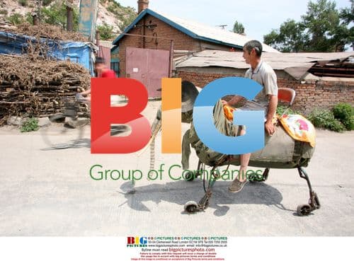 Man Fixes Mechanical Elephant in China