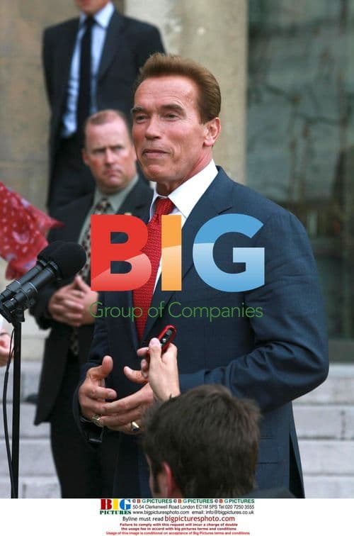 Arnold Schwarzenegger meets French President