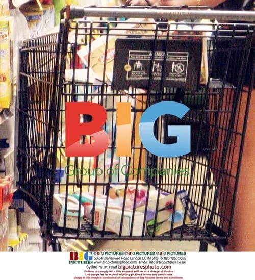 Britney Spears Goes Shopping With Cousin