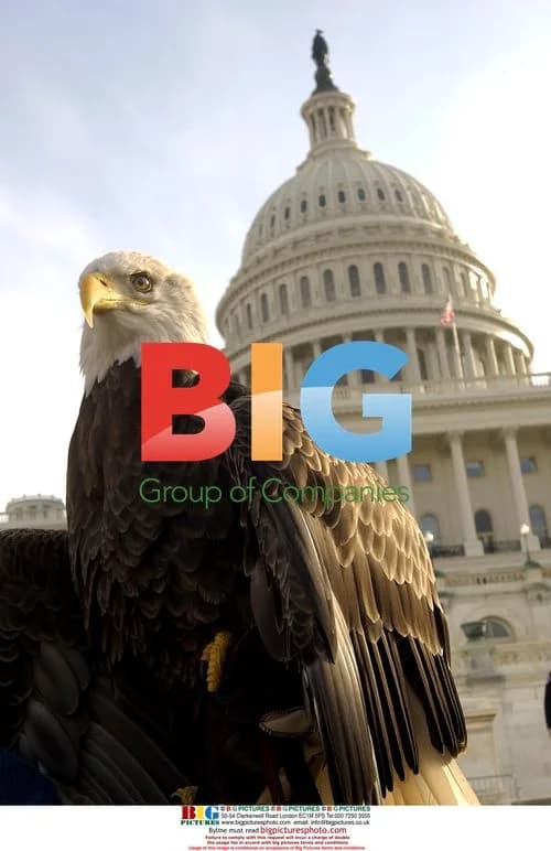 Bald eagle at US Capitol on 30th anniversary