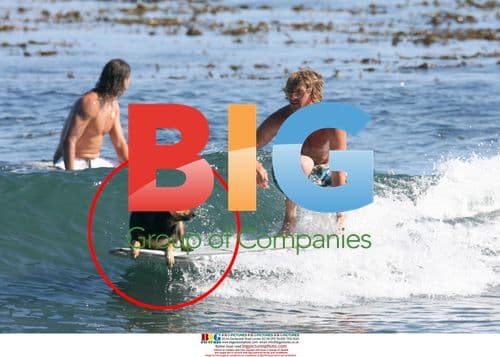 Matthew McConaughey Surfs In 'Surfer Dude' Film