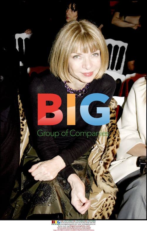 Anna Wintour at YSL Fashion Show