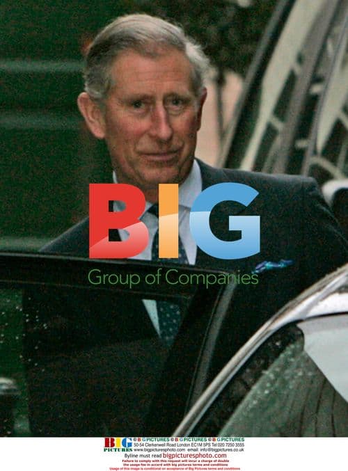 Prince Charles Visits Camilla After Surgery