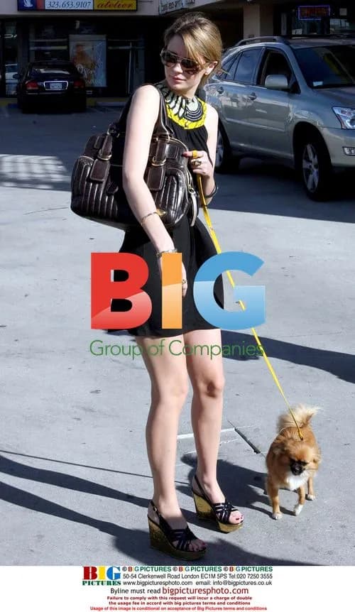 Mischa Barton and sister Hania lunch in West Hollywood