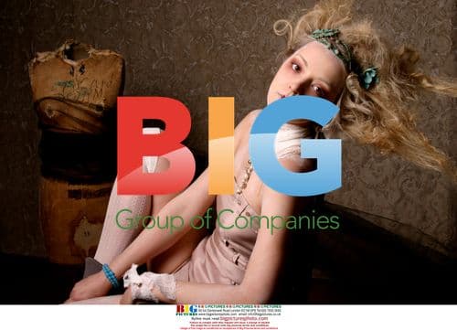 Queen Elizabeth fine art series by Jodi Jones