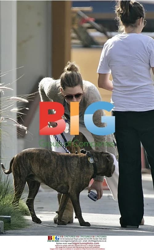 Jessica Biel and friends walk dogs on Malibu beach