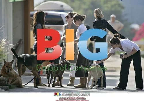 Jessica Biel with friends walking dogs on Malibu beach