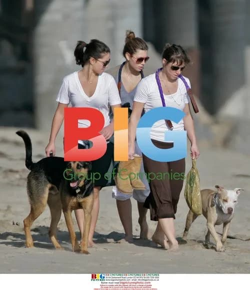 Jessica Biel Walking Dogs in Malibu