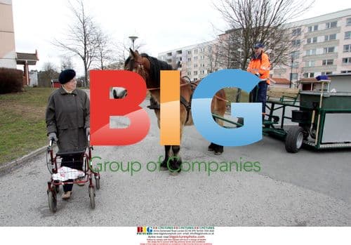 Horse-Drawn Paper Collection in Sweden