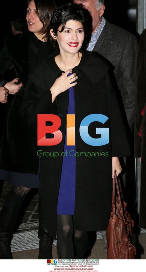 Audreu Tautou at 'Ensemble, c'est tout' Premiere