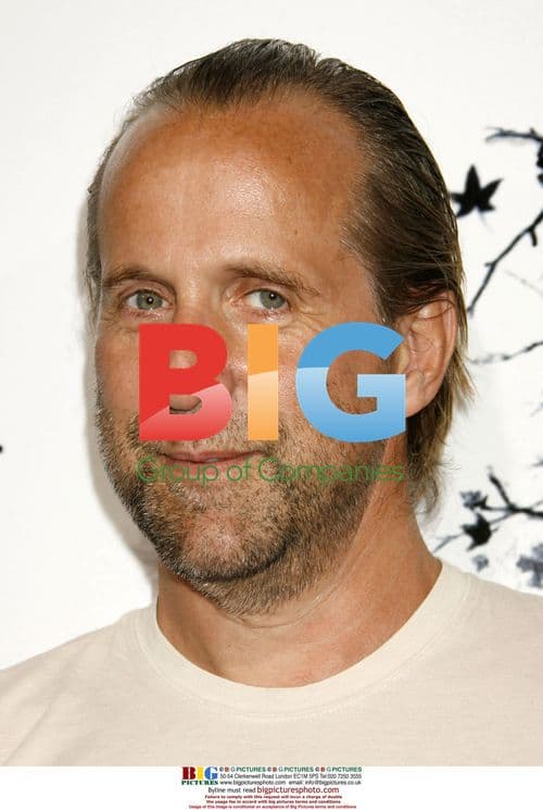 Peter Stormare at "Premonition" Premiere