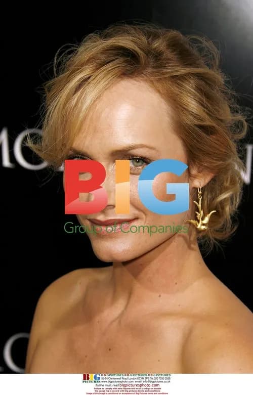 Amber Valetta at "Premonition" premiere