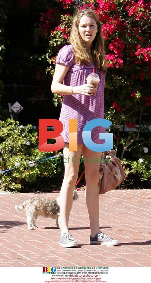 Jacinda Barrett grabs coffee, takes dogs to vet