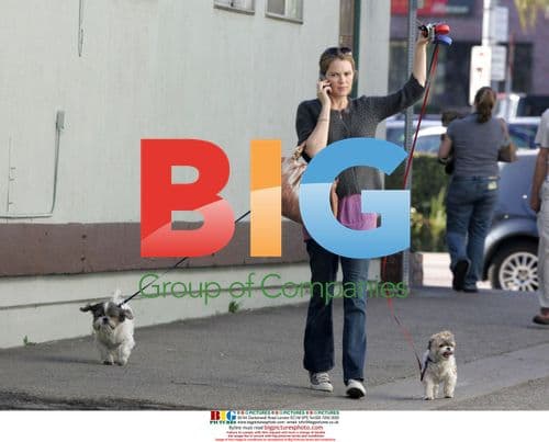 Jacinda Barrett grabs coffee, takes dogs to vet