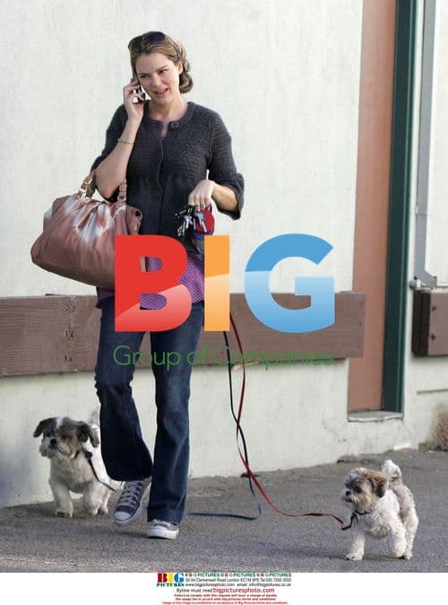 Jacinda Barrett grabs coffee and takes dogs to vet