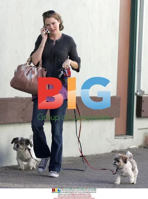 Jacinda Barrett grabs coffee and takes dogs to vet