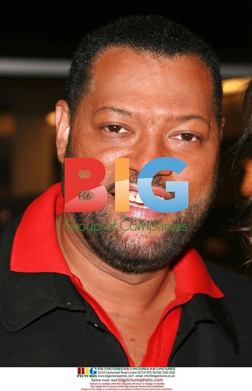 Lawrence Fishburne at 'I Think I Love My Wife' Premiere