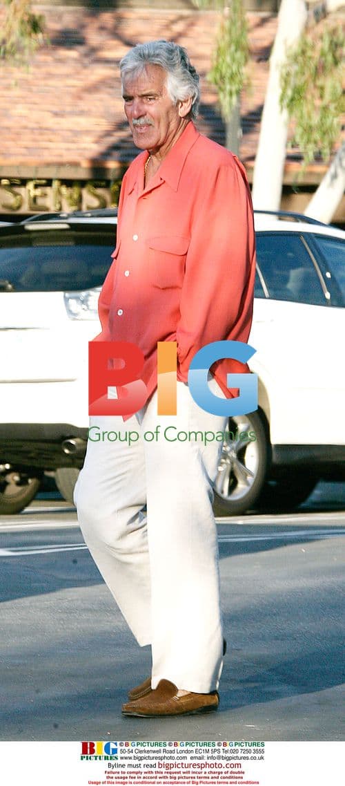 Dennis Farina tries to blend in at LA market