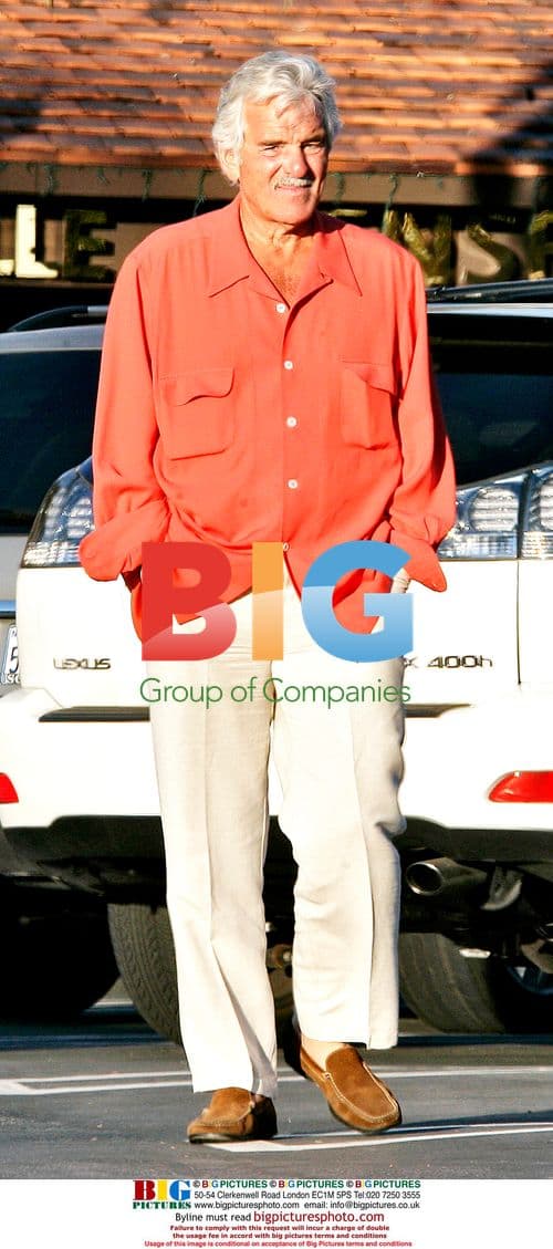 Dennis Farina at Brentwood Glen Market in LA