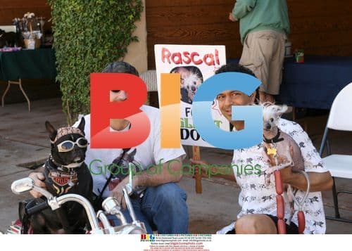 Ugly Dog Contest Winner with Owners