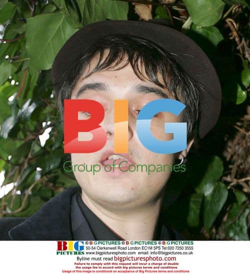 Pete Doherty's son with ex-girlfriend Lisa Moorish